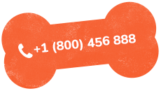 https://superstardogboarding.net/wp-content/uploads/2019/07/text_02.png